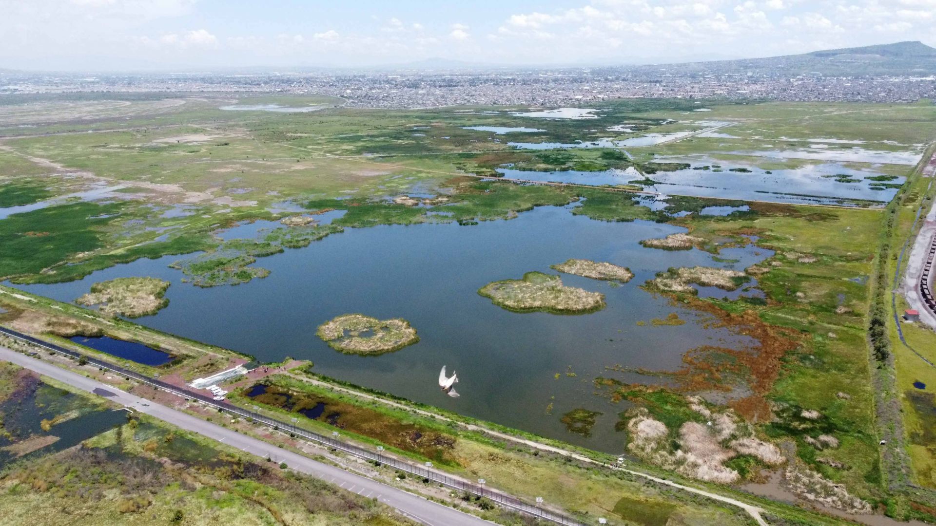 Invaden terrenos del ex lago de Texcoco; construyen 100 casas en el área natural protegida donde sería el NAIM