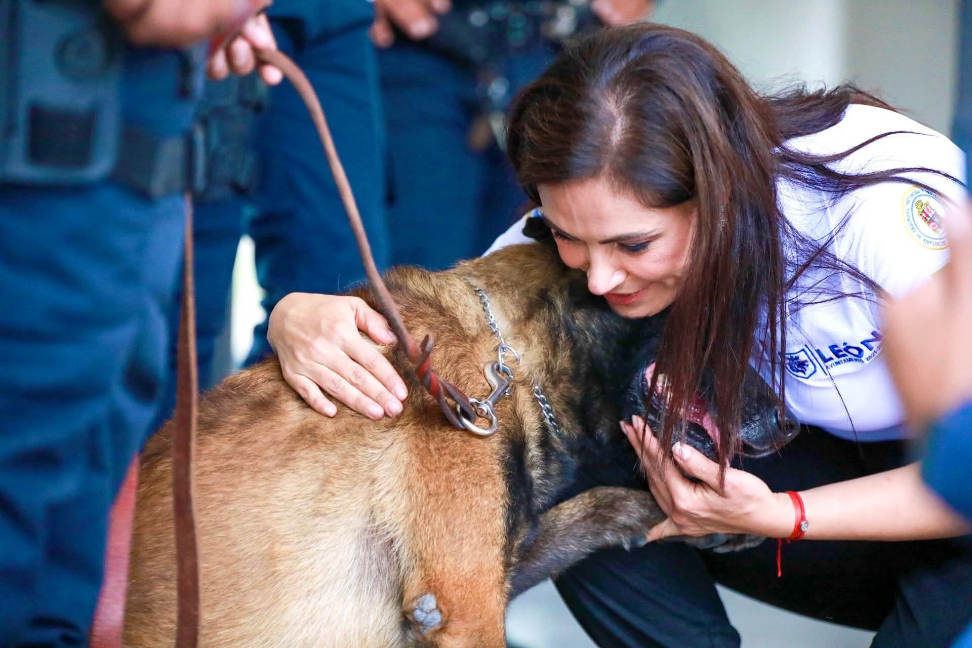 León lanza programa de adopción para perros y caballos en retiro del servicio municipal