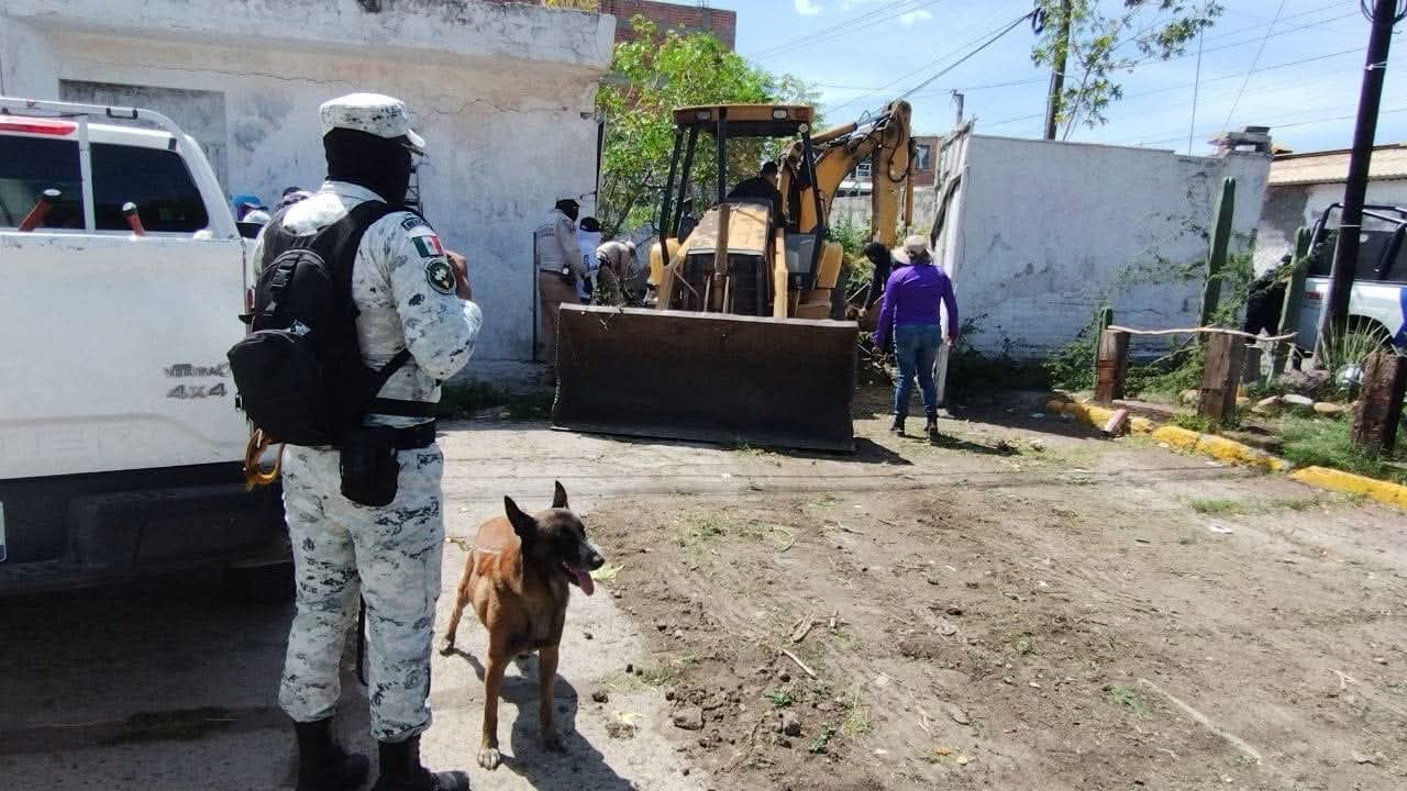Guanajuato intensifica labores de búsqueda: localizan cuerpos y restos óseos en al menos 16 municipios