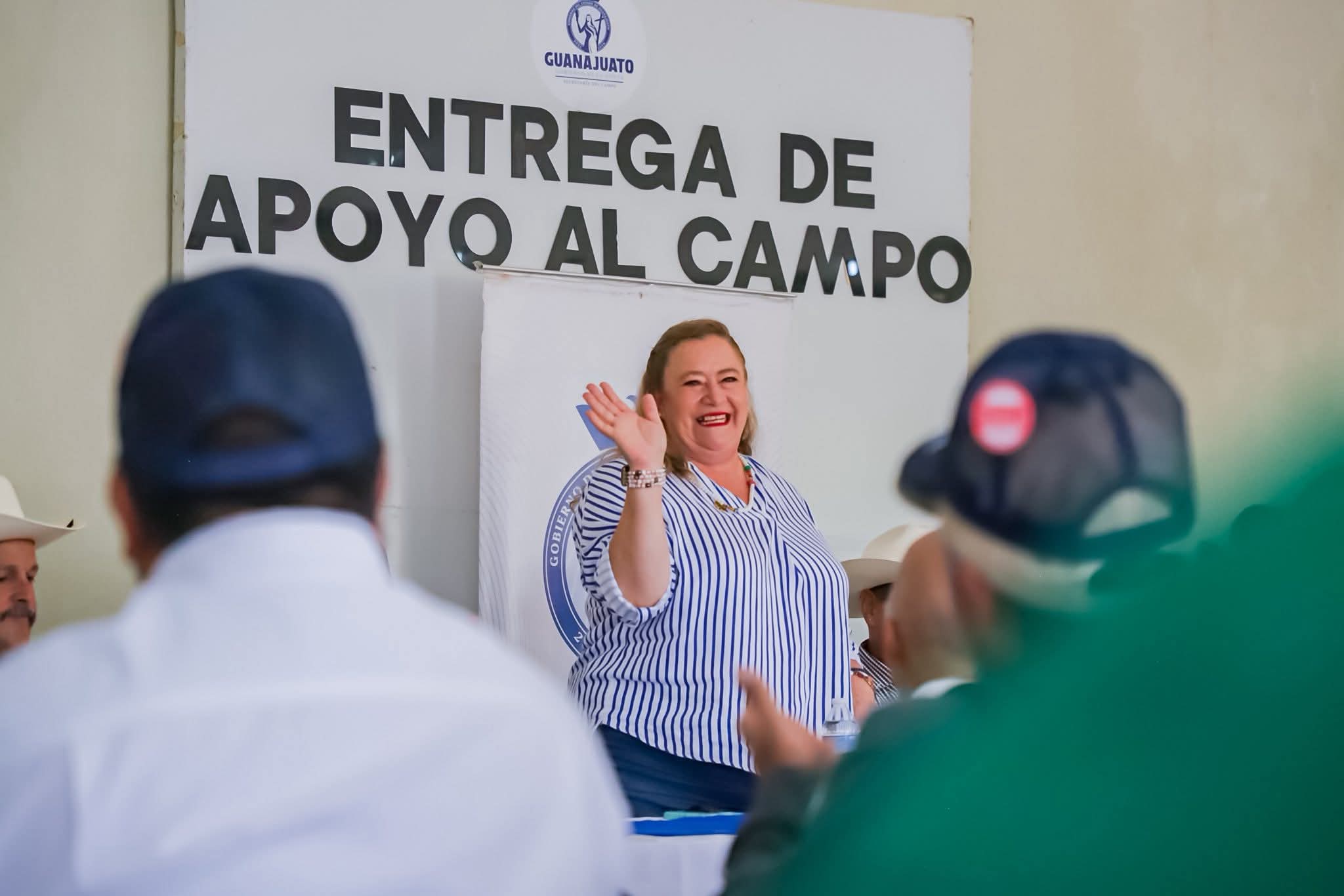 Lluvias afectan 2 mil 300 hectáreas de cultivos en Guanajuato