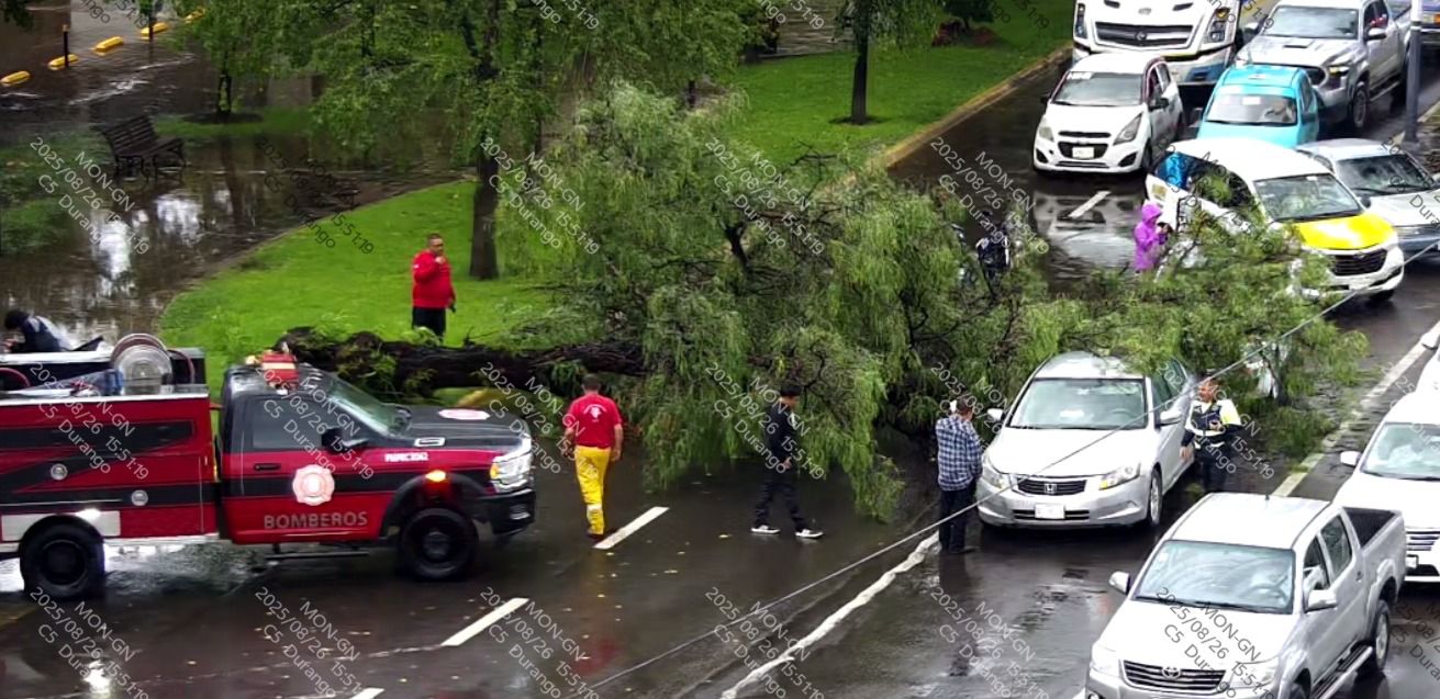 Árboles caídos, caminos bloqueados y viviendas afectadas tras lluvias en Durango