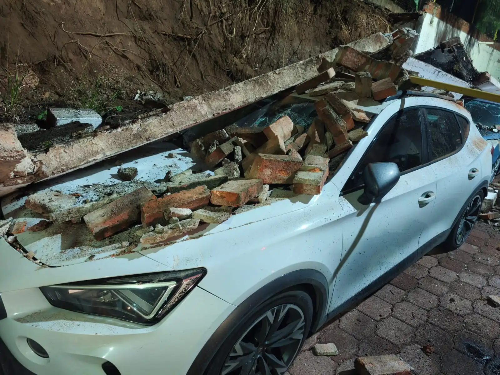 El saldo de la tormenta: autos y personas varadas, árboles caídos y emprendedores afectados