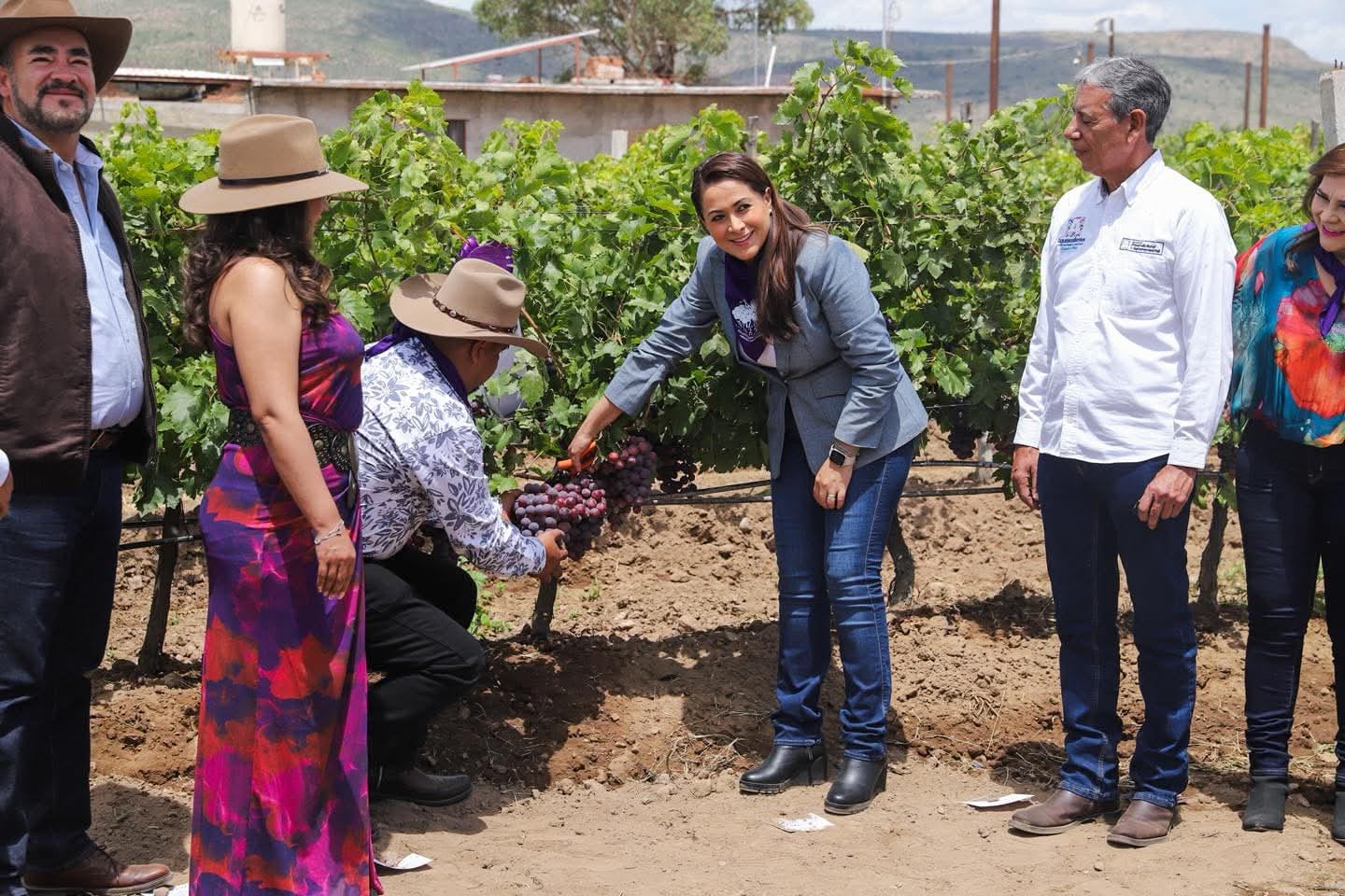 Música, maridajes y catas: así es el Primer Festival de la Uva en Cosío