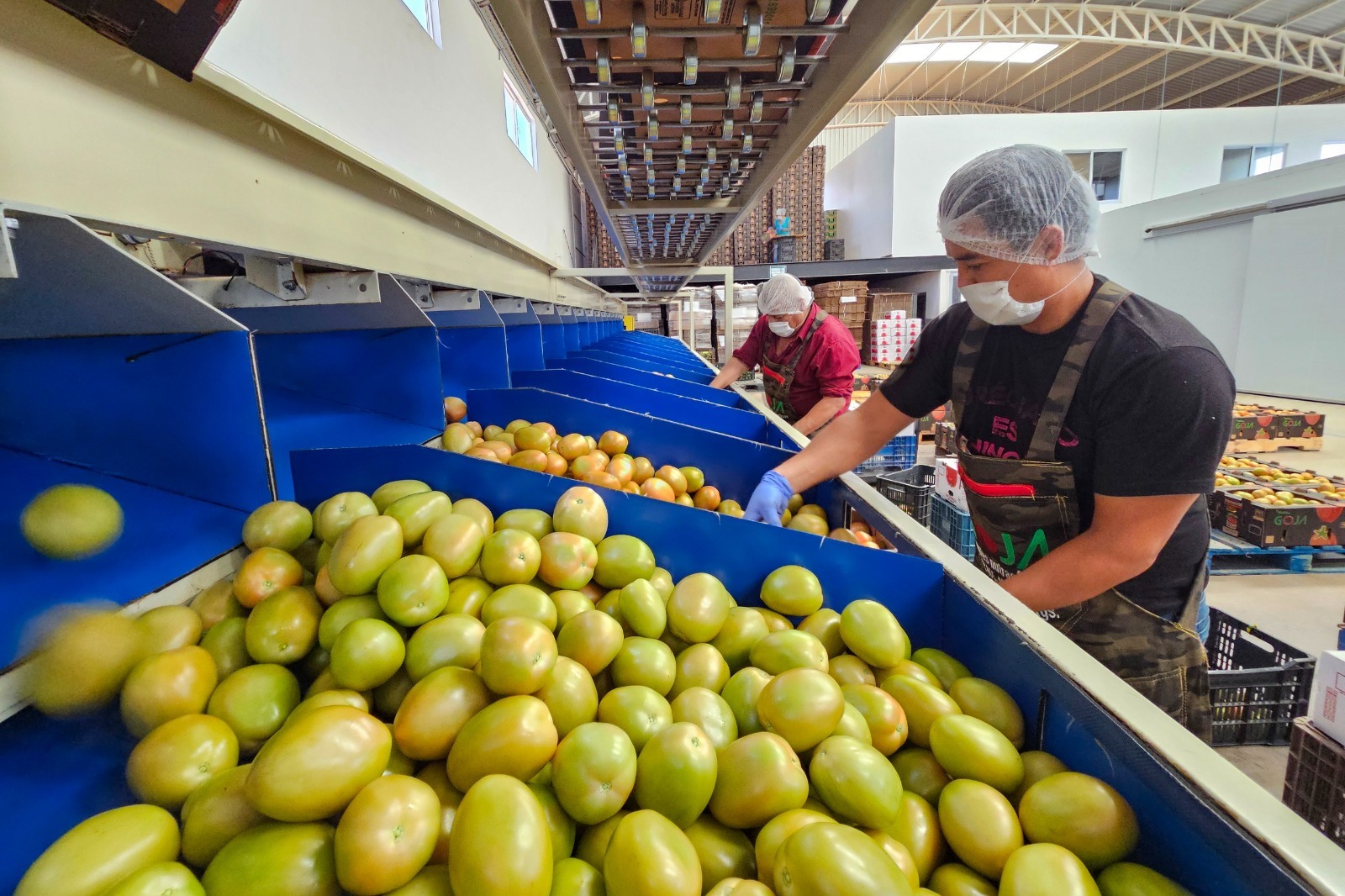 Crecimiento en empleo es &#8220;muestra de la dinámica económica positiva de Aguascalientes&#8221;: Tere Jiménez