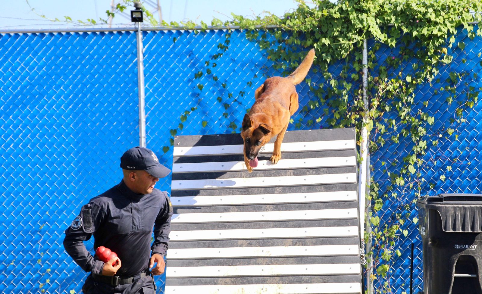 Elementos caninos de la SSPE viajan a Texas para recibir entrenamiento