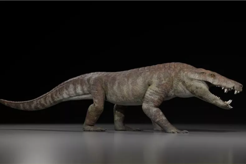 El cocodrilo que comía dinosaurios: hallan fósil de un depredador feroz en Argentina