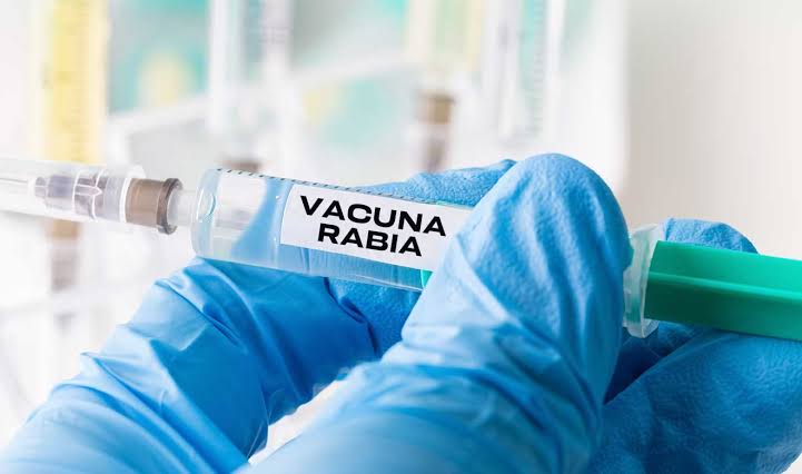 No hay alerta sanitaria en Durango por rabia humana, informa Secretaría de Salud