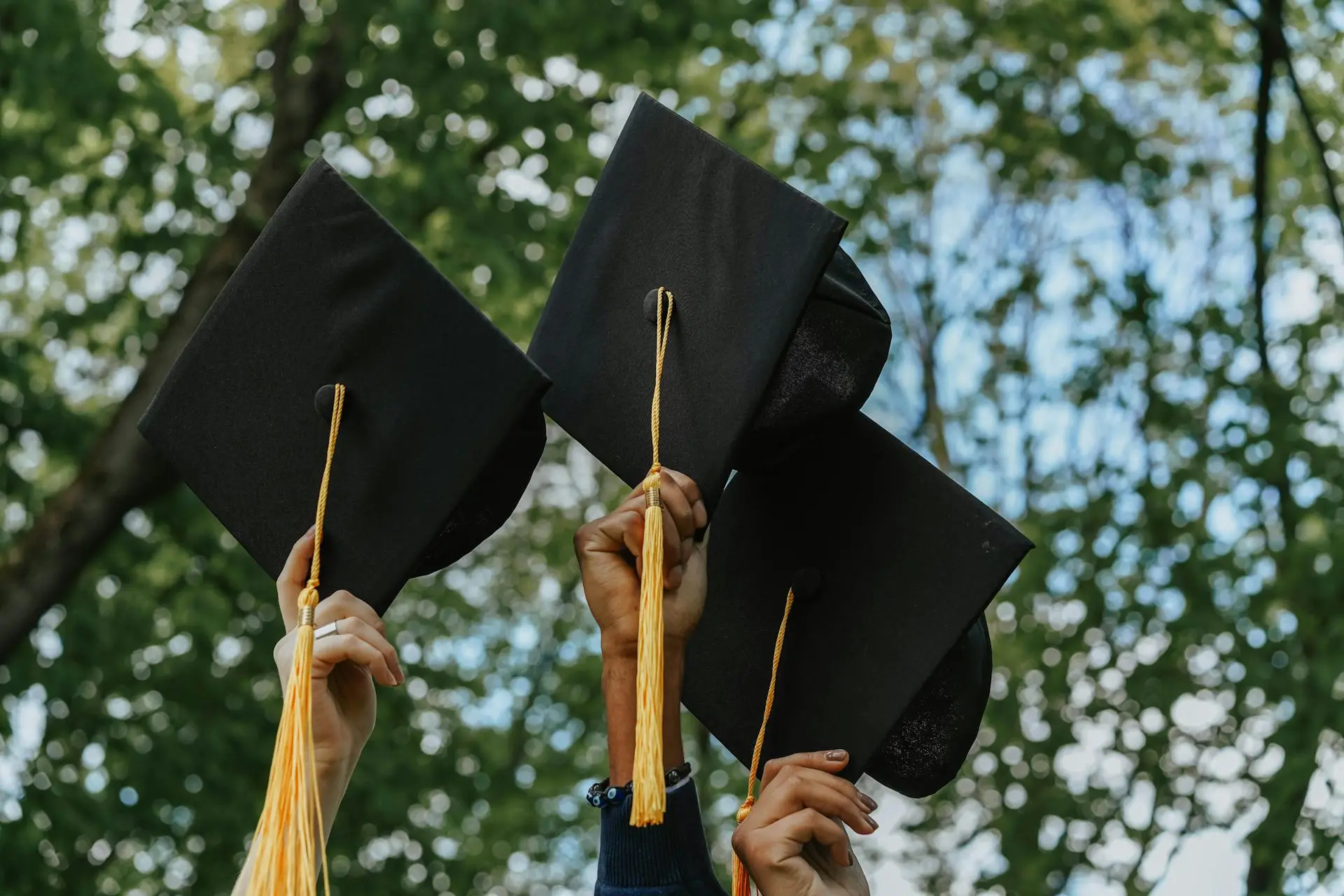 Buscan ofertar UAA e ITA nuevos programas académicos