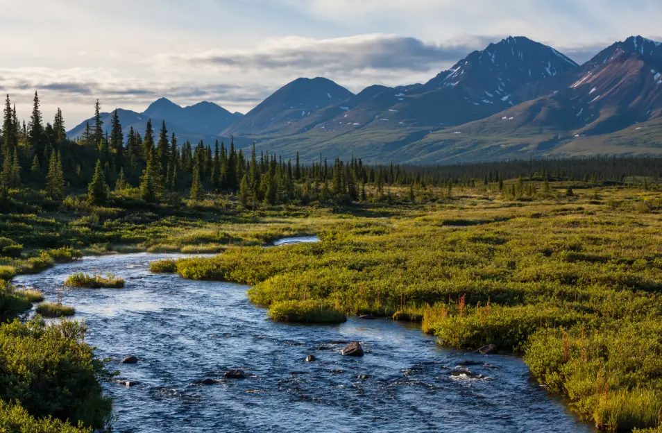 ¿El deshielo del glaciar Alsek da origen a una nueva isla en Alaska? Imágenes de la NASA lo confirman