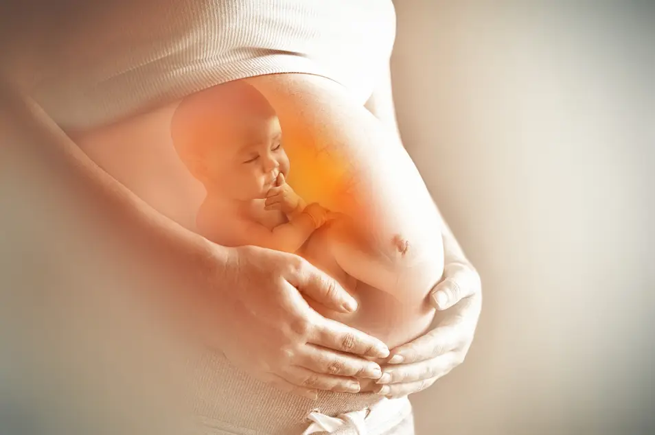 Dejar de tomar Tylenol en el embarazo aumenta riesgos para madre y bebé: expertos