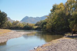 Río Nazas,  Durango 