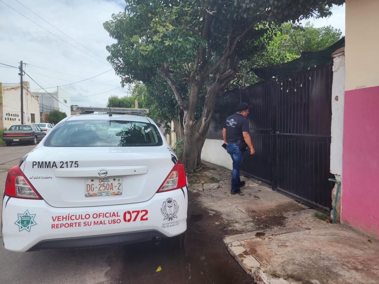 Estas serán las multas por podar árboles sin permiso en Durango