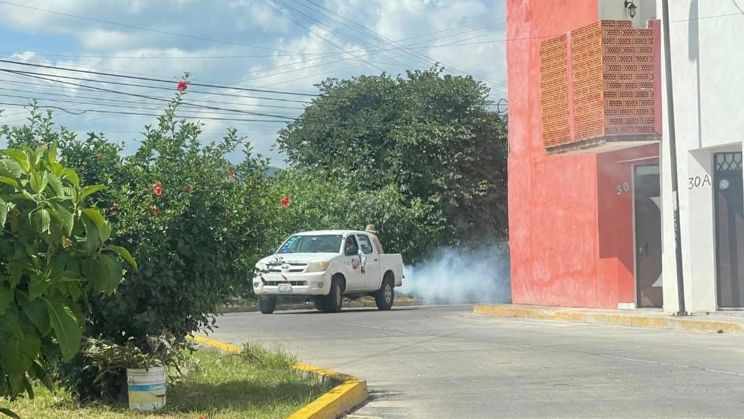 Guanajuato reporta más de 600 casos de dengue; estos son los municipios más afectado