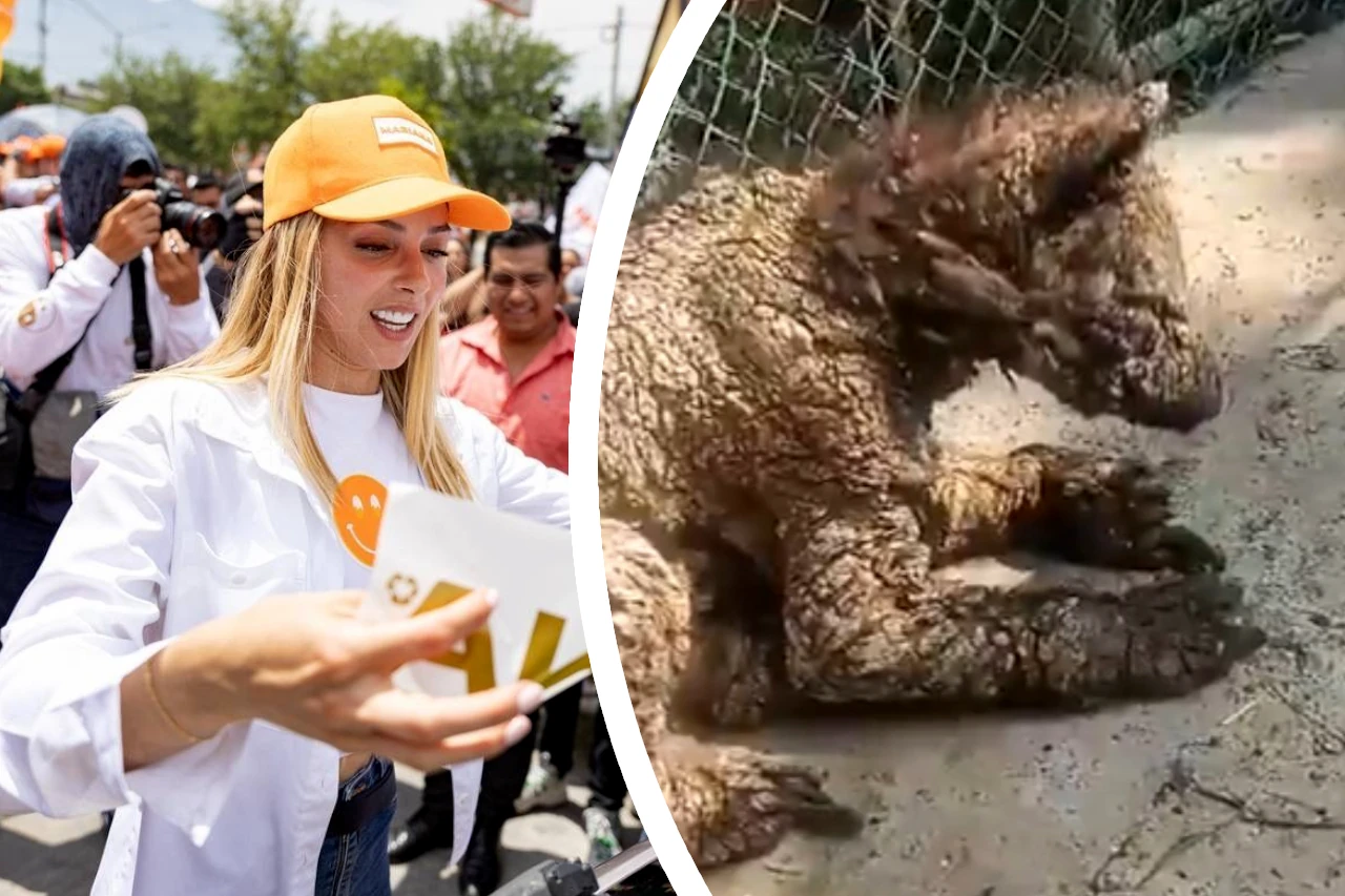Mariana Rodríguez defiende al Zoológico La Pastora tras denuncia por osa enferma