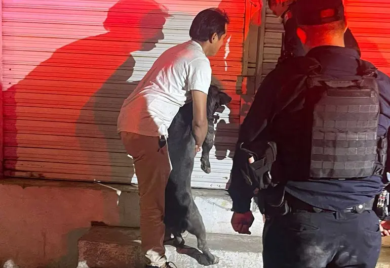 SSPM explica sacrificio de perro que atacó a un presunto ladrón en Aguascalientes
