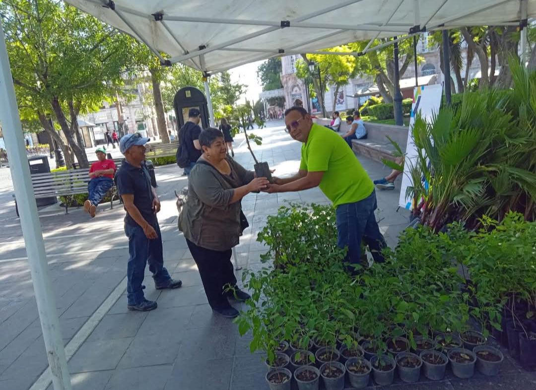 Promueven jornada para donación de plantas en Pabellón de Arteaga