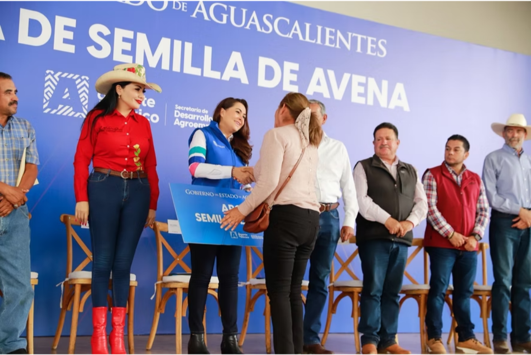 Productores hidrocálidos son beneficiados con semilla de avena mejorada