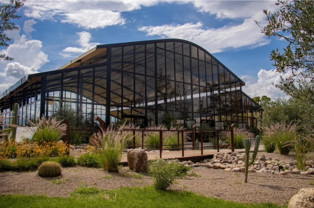 Vinícola Tierra Tinta ampliará su producción en Aguascalientes