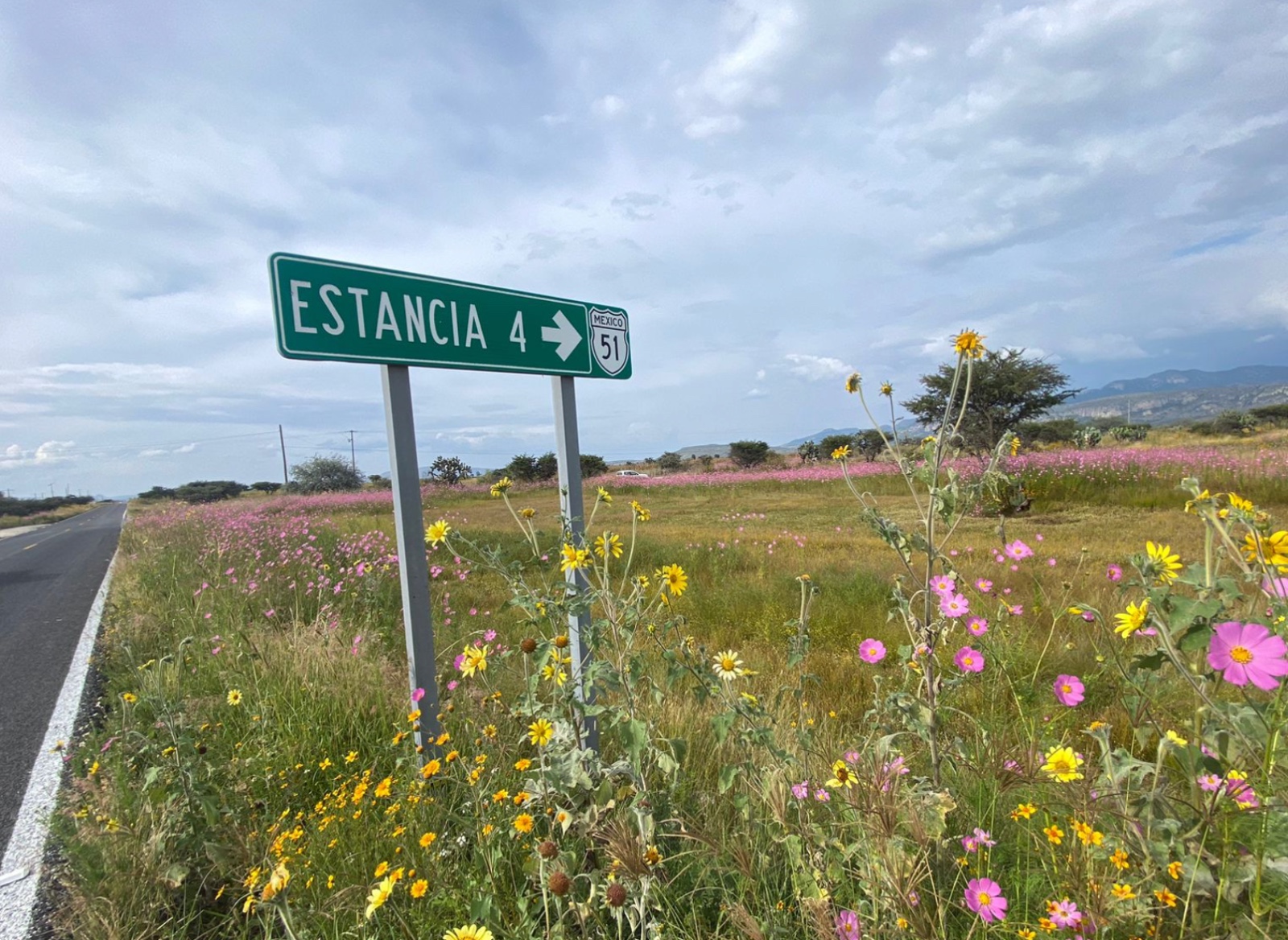 Fiscalía de Guanajuato anuncia detenidos tras muerte de funcionario
