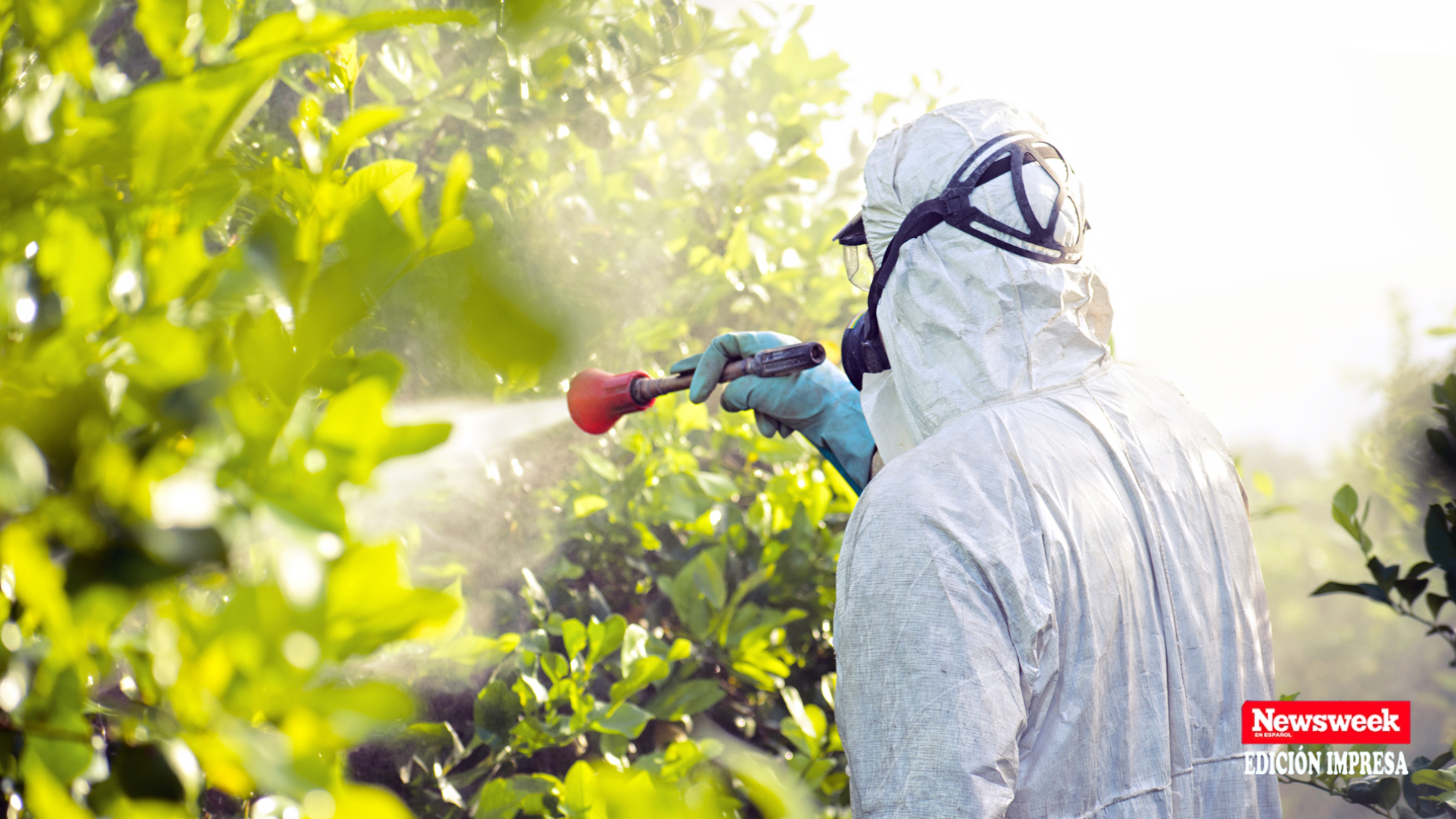Los peligros reales de los pesticidas