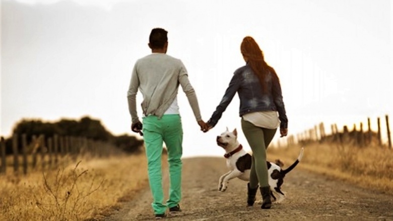 Buscan legislar custodia de mascotas ante divorcios en Durango