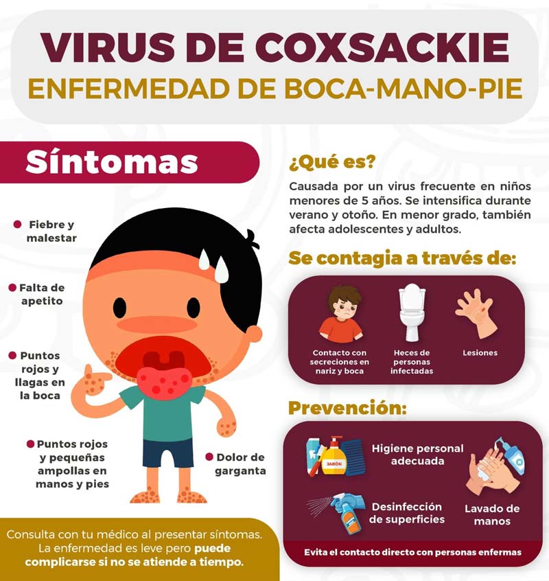 Brote de virus Coxsackie obliga a suspender clases en escuelas de Puebla