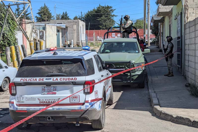 Hallan cabeza humana devorada por perros en La Resurrección