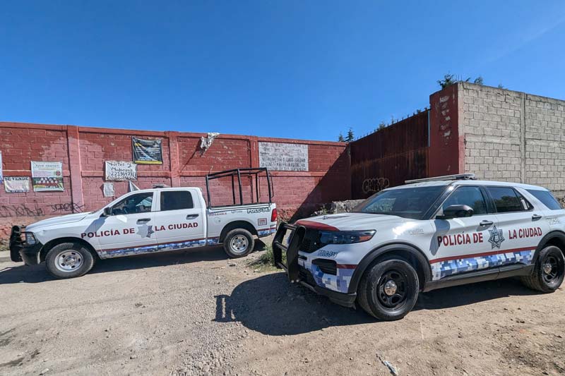 Hallan cabeza humana devorada por perros en La Resurrección