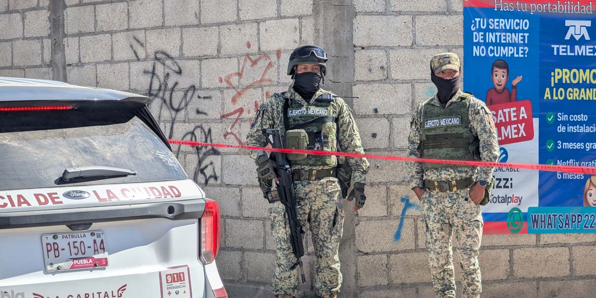 Hallan cabeza humana devorada por perros en La Resurrección