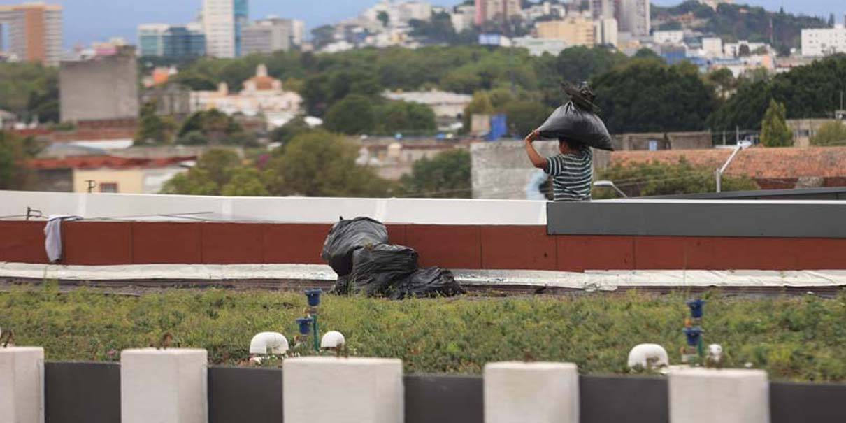 Hierba cubre techo del Congreso de Puebla; INAH debe autorizar limpieza