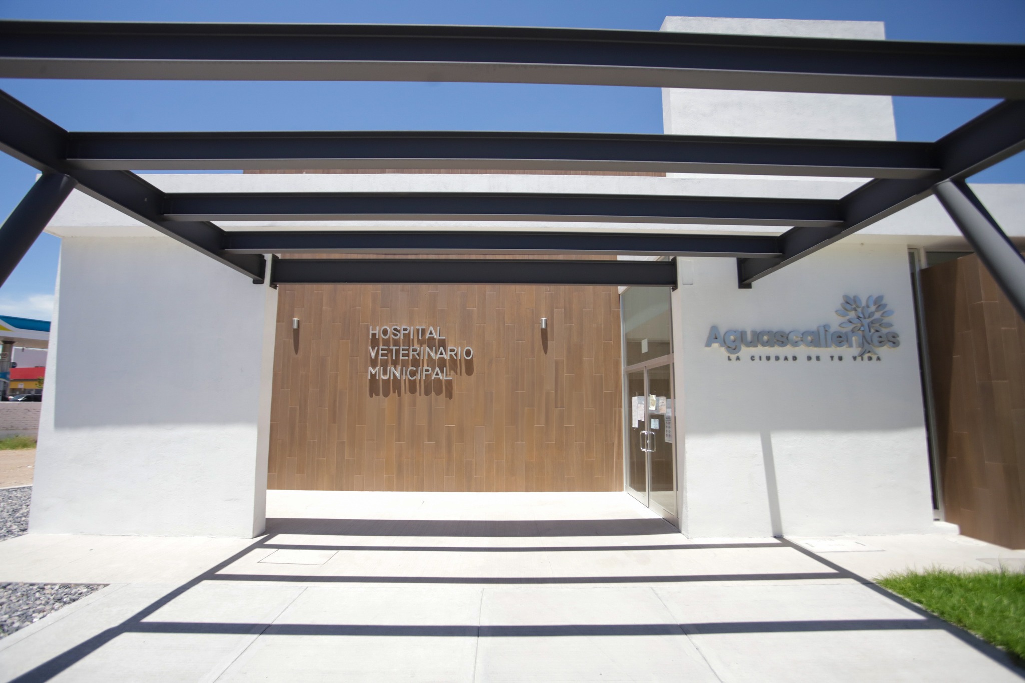 Hospital Veterinario Municipal abrirá en dos semanas, promete Leo Montañez