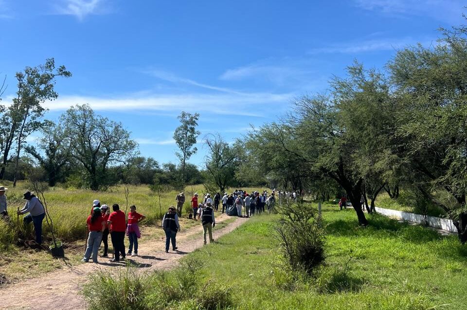 Anuncia municipio reforestación y apertura de brechas cortafuegos en La Pona