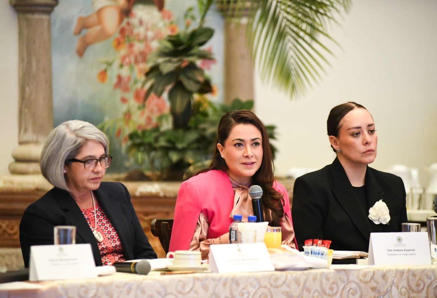 Importante la participación ciudadana para denunciar hechos delictivos: Tere Jiménez