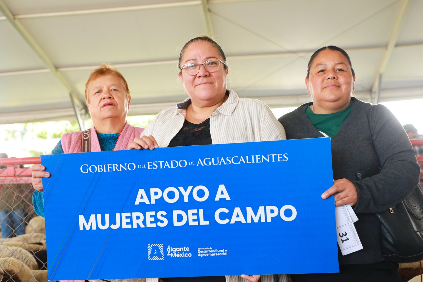 Entregan 600 borregos a 200 mujeres emprendedoras