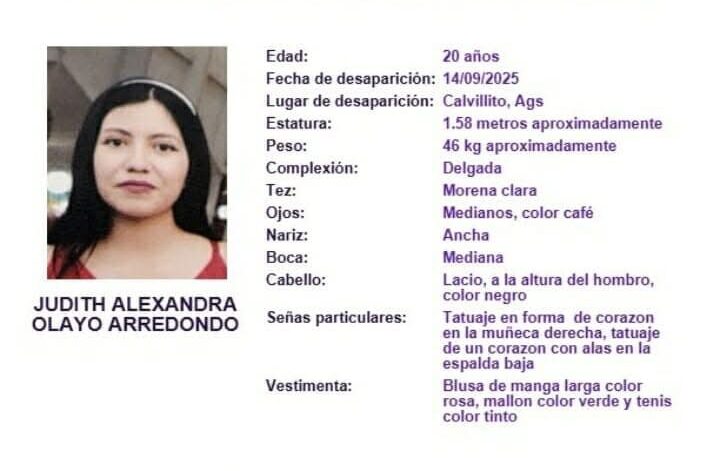 ¿Dónde está Alexa? Joven embarazada desaparece en Aguascalientes. Su pareja asegura que “se le perdió”