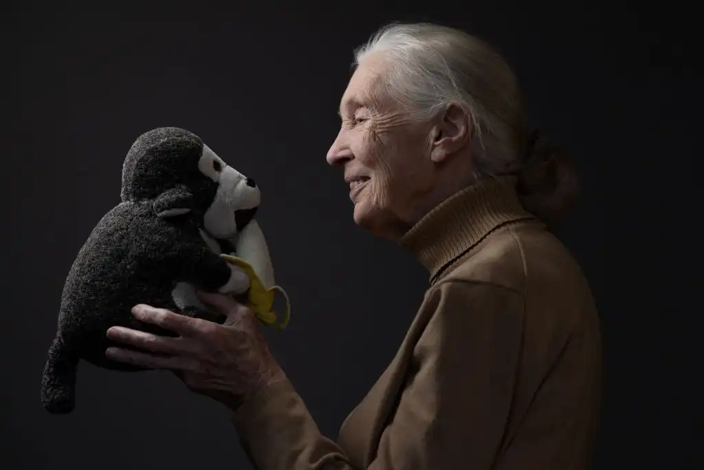 Jane Goodall