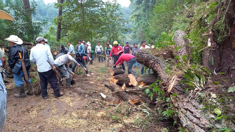 23 municipios de Puebla con daños y 29 comunidades incomunicadas por lluvias