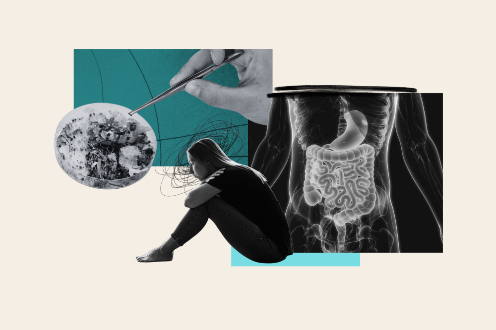 Estudio revela cómo los microplásticos están cambiando tu organismo de forma preocupante