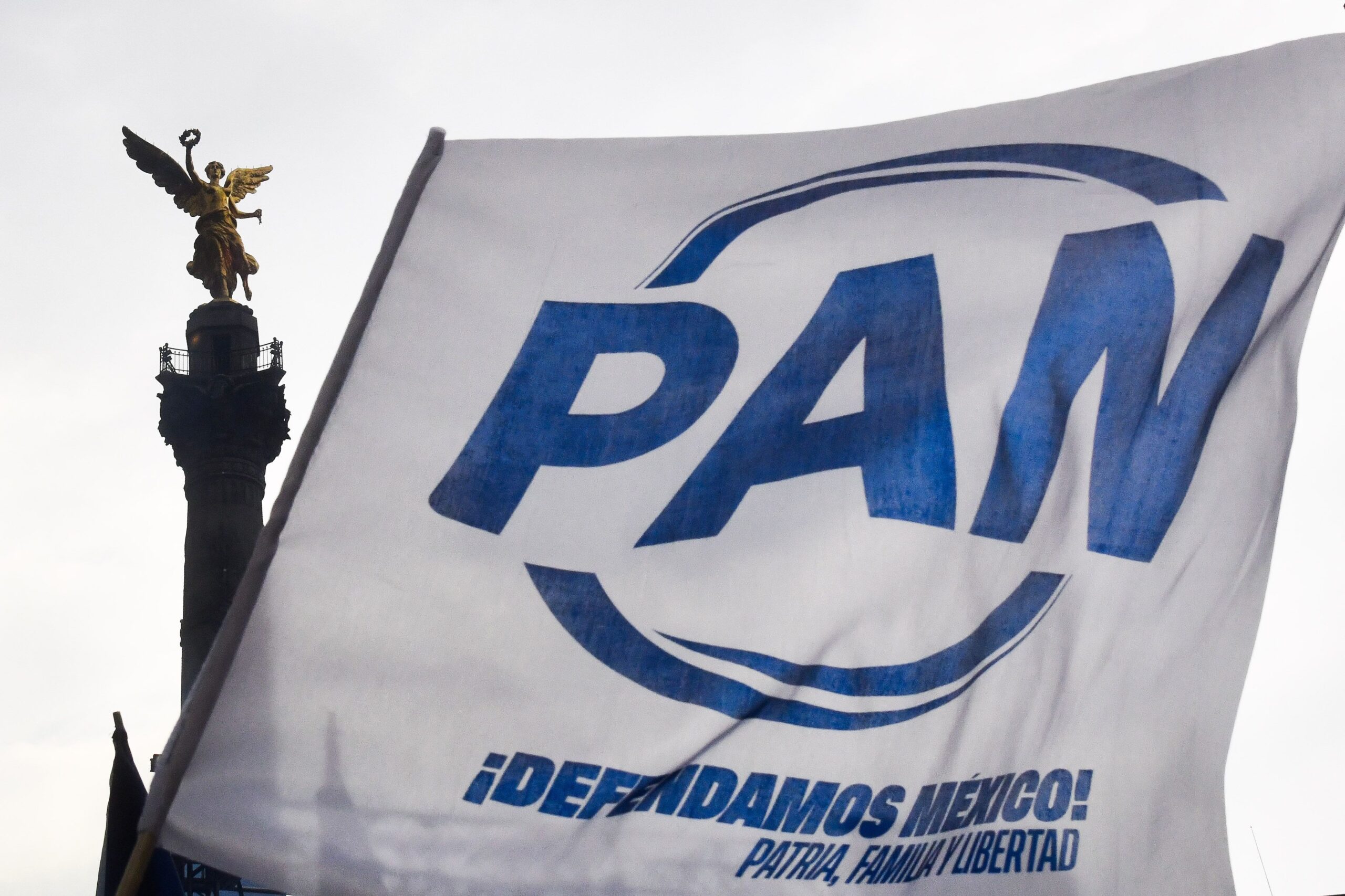 Nuevo logo, vieja crisis: así intenta el PAN reescribir su historia política