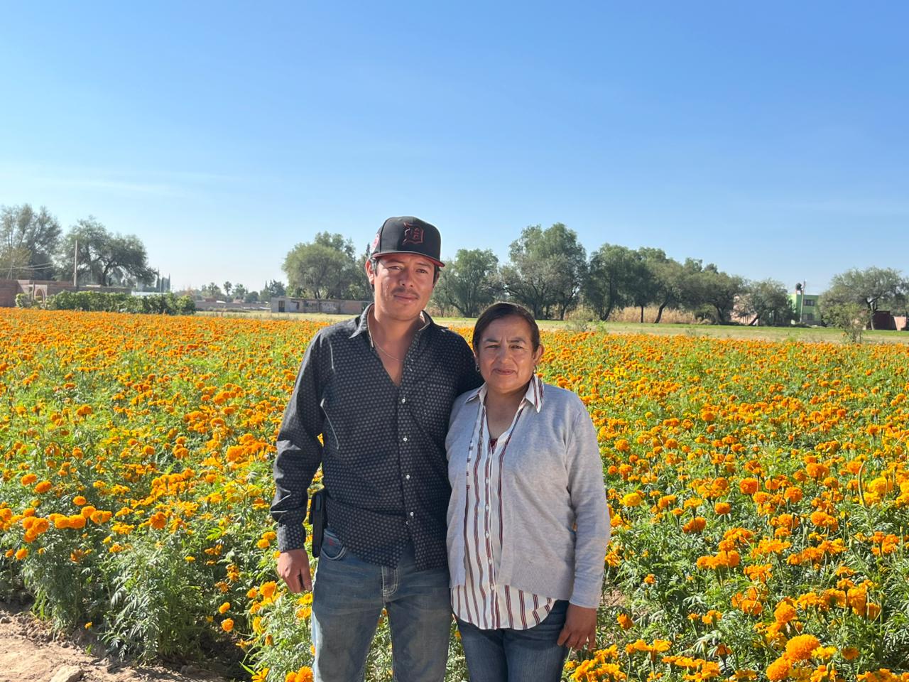 Familias productoras de cempasúchil en Aguascalientes defienden su flor ante la competencia foránea