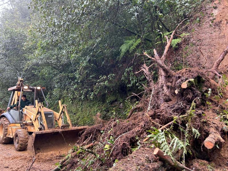 Armenta convoca a voluntarios para labores en la Sierra Norte