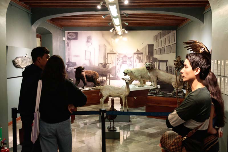 Puebla vive el Día de Muertos con una Noche de Museos llena de arte y tradición