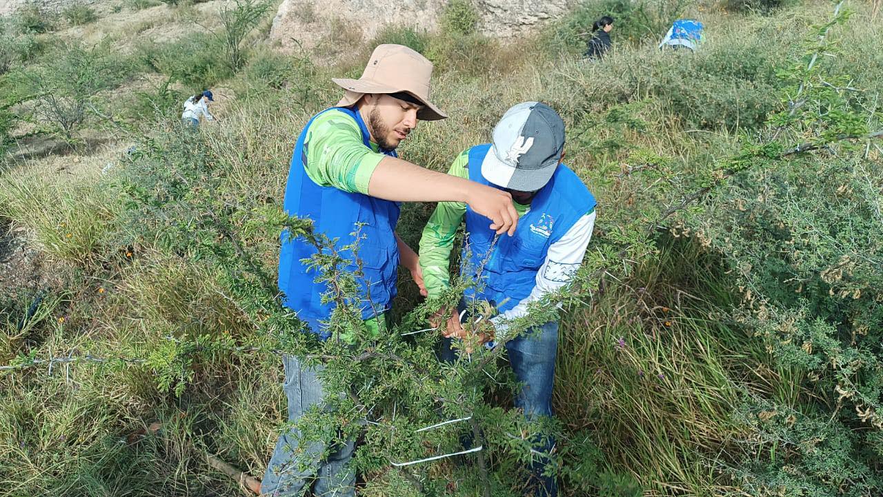 Realizan Jornada de Rescate de Árboles en el Parque México