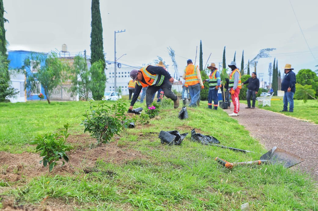Jesús María y Gobierno del Estado impulsan jornada de reforestación en Paseos de Aguascalientes