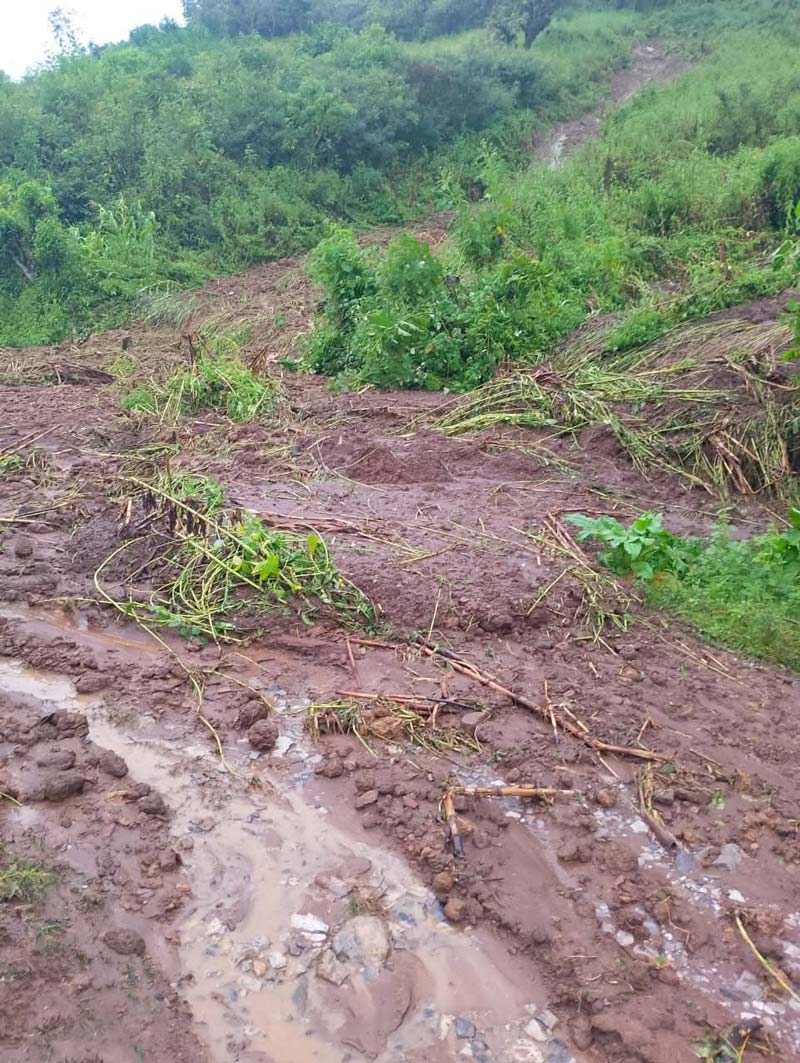 Caminos y puentes destruidos por Jerry en Tlacuilotepec; municipio incomunicado