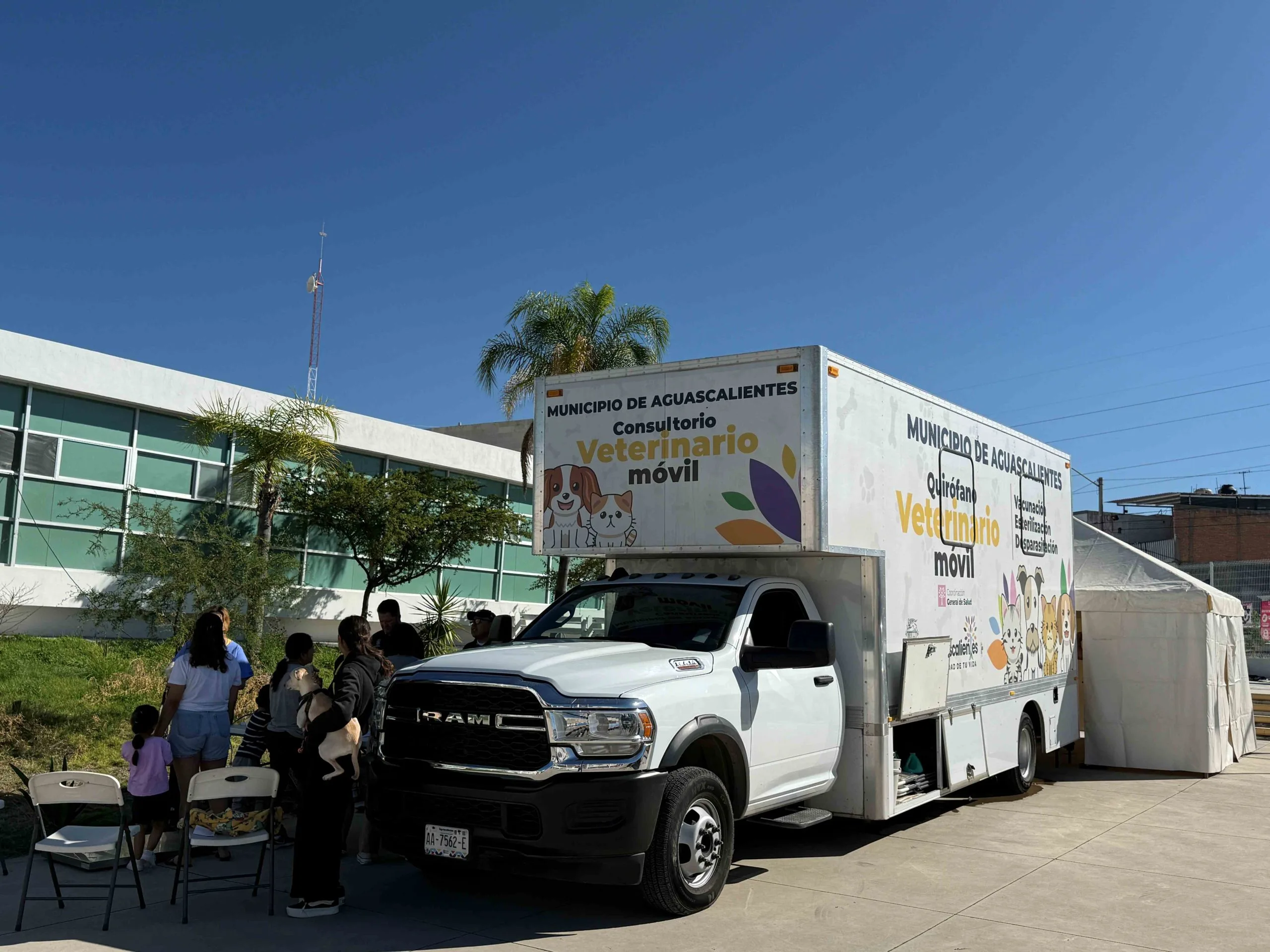 Esterilizaciones, vacunación antirrábica y desparasitación gratuitas este 12 y 13 de noviembre