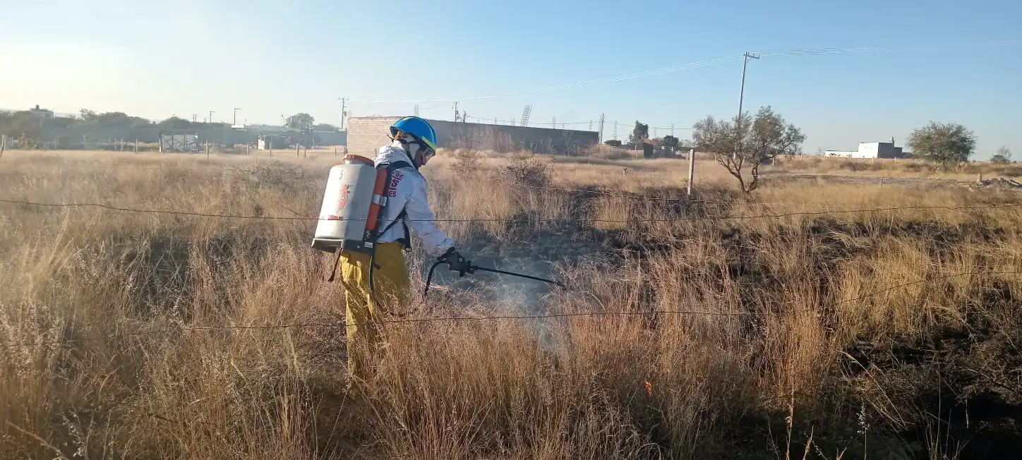 Hasta 6 incendios de pastizales se atienden diariamente en Jesús María