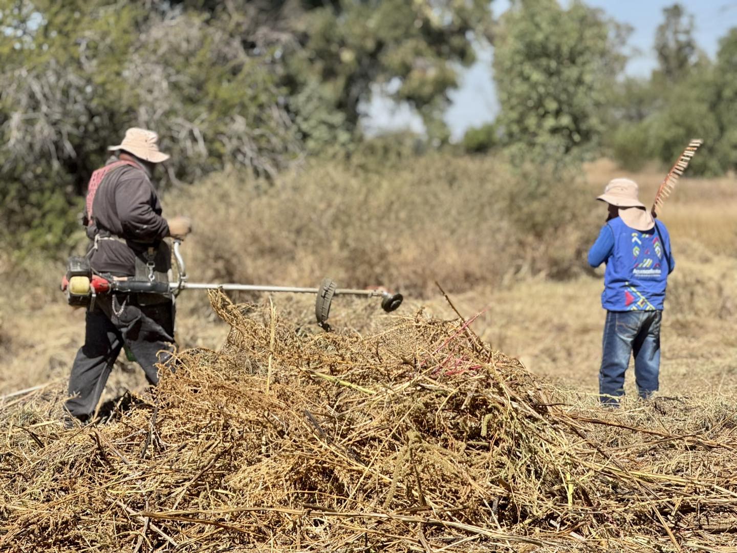 Realizan actividades de limpieza en el arroyo El Cedazo