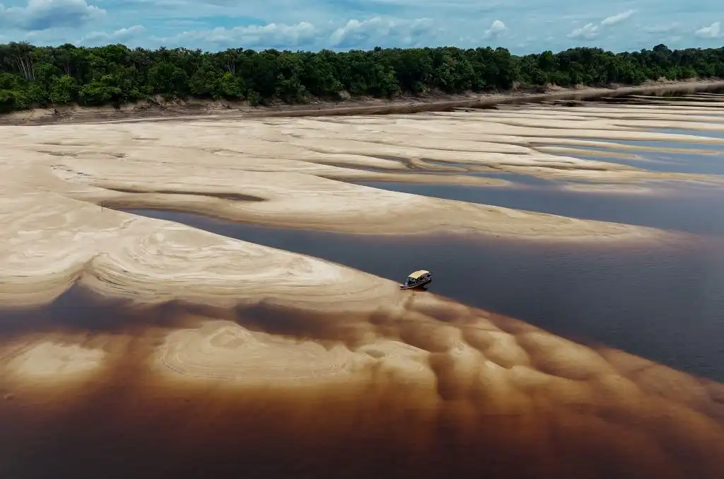 ‘Lagos hirvientes’: el Amazonas alcanza temperaturas de hasta 41 °C y causa una mortandad masiva de delfines y peces