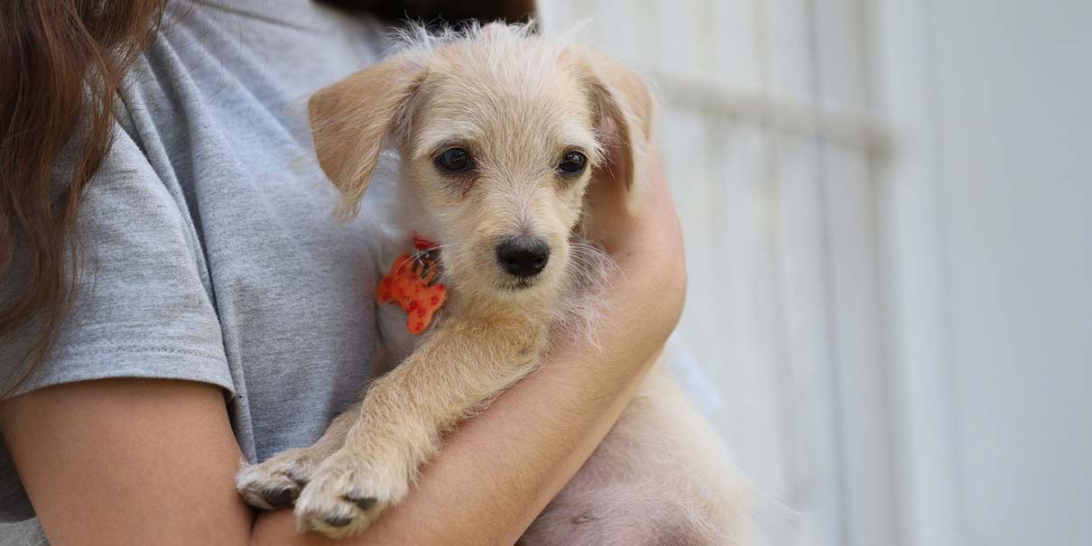 De un reto viral al cambio real: la campaña de Inter.mx que da voz a quienes no la tienen